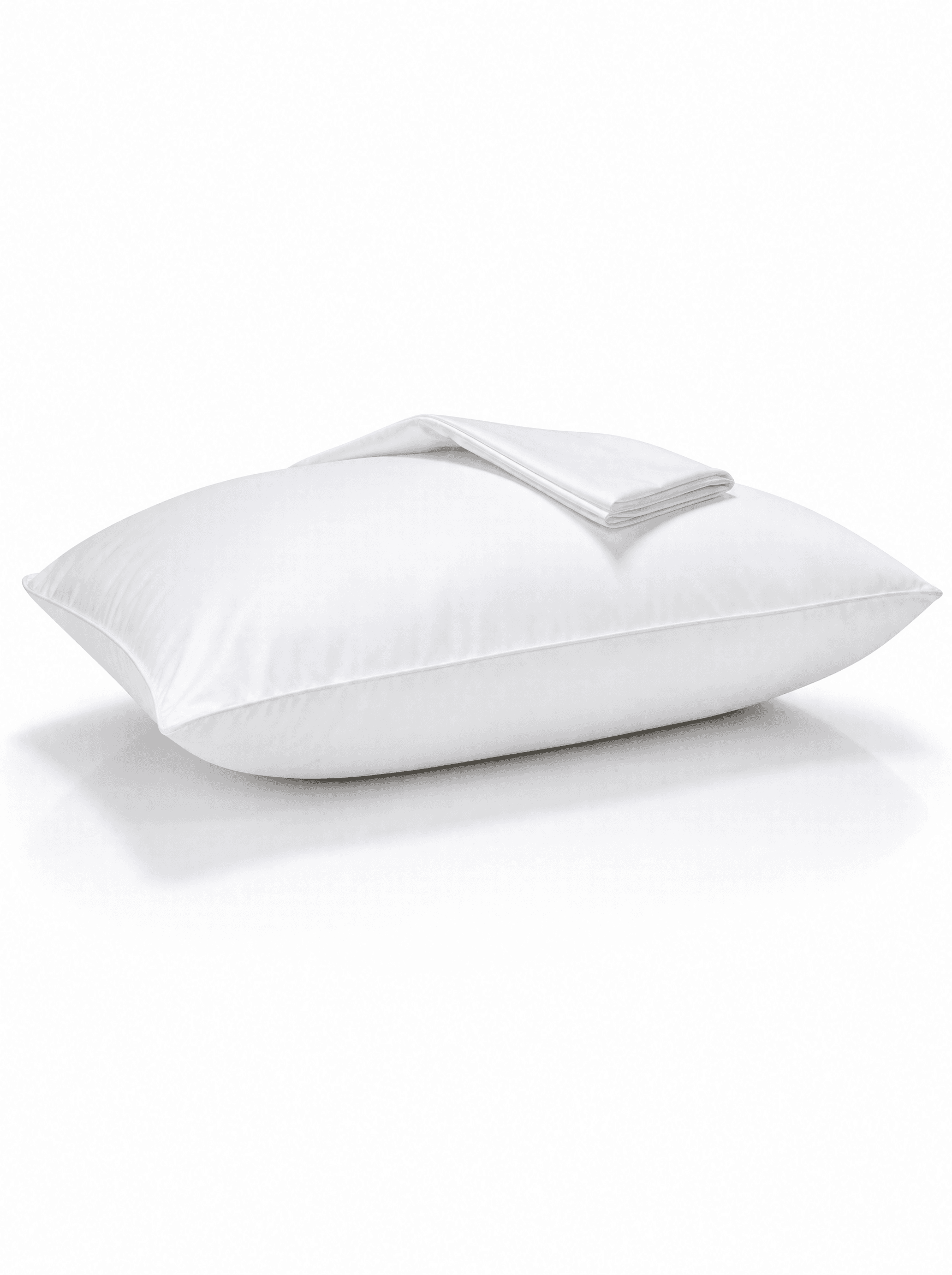 Pillow Protector — Big