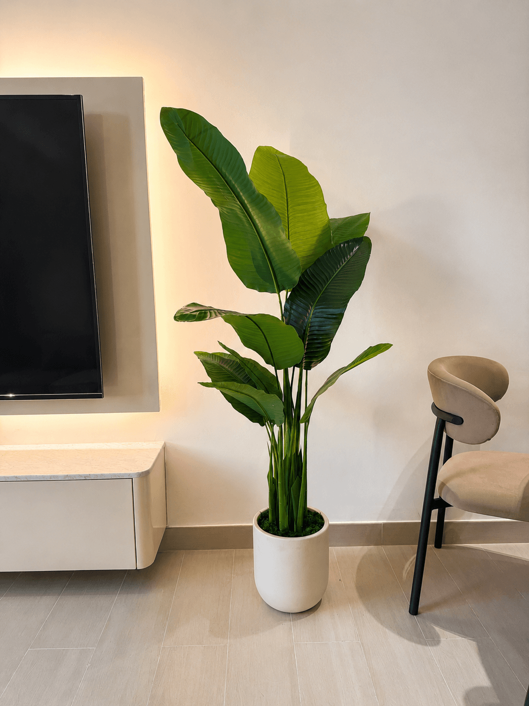 Decor Objects