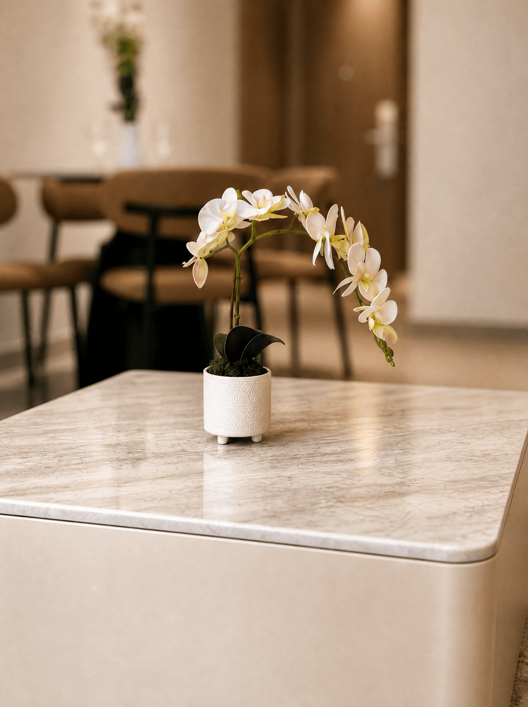 Decor Objects